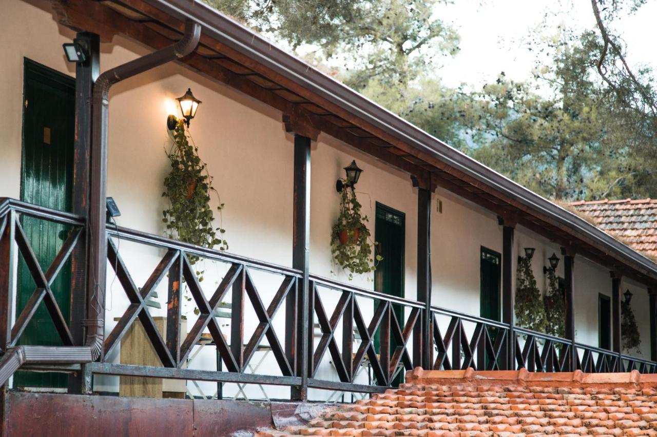 Pine View Boutique Hotel Adults Only Saittas Exterior foto